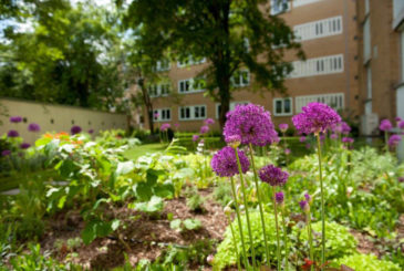 Bepflanzung von Wohnanlage