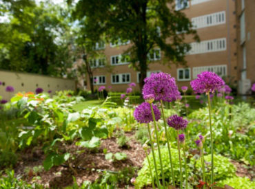 Bepflanzung von Wohnanlage