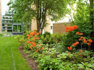 Bepflanzung von Wohnanlage