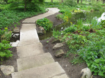 Berggarten Staudengrund