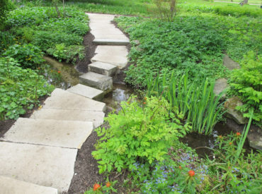 Berggarten Staudengrund