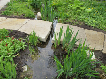 Berggarten Staudengrund