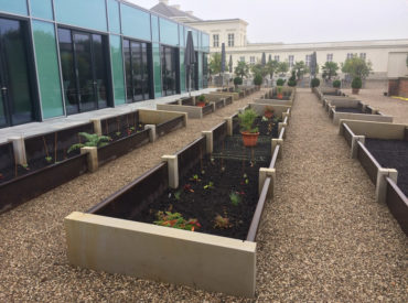 Küchengarten Herrenhausen